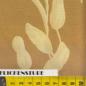Preview: Treetop Lakeside Park Ivory by Tina Givens